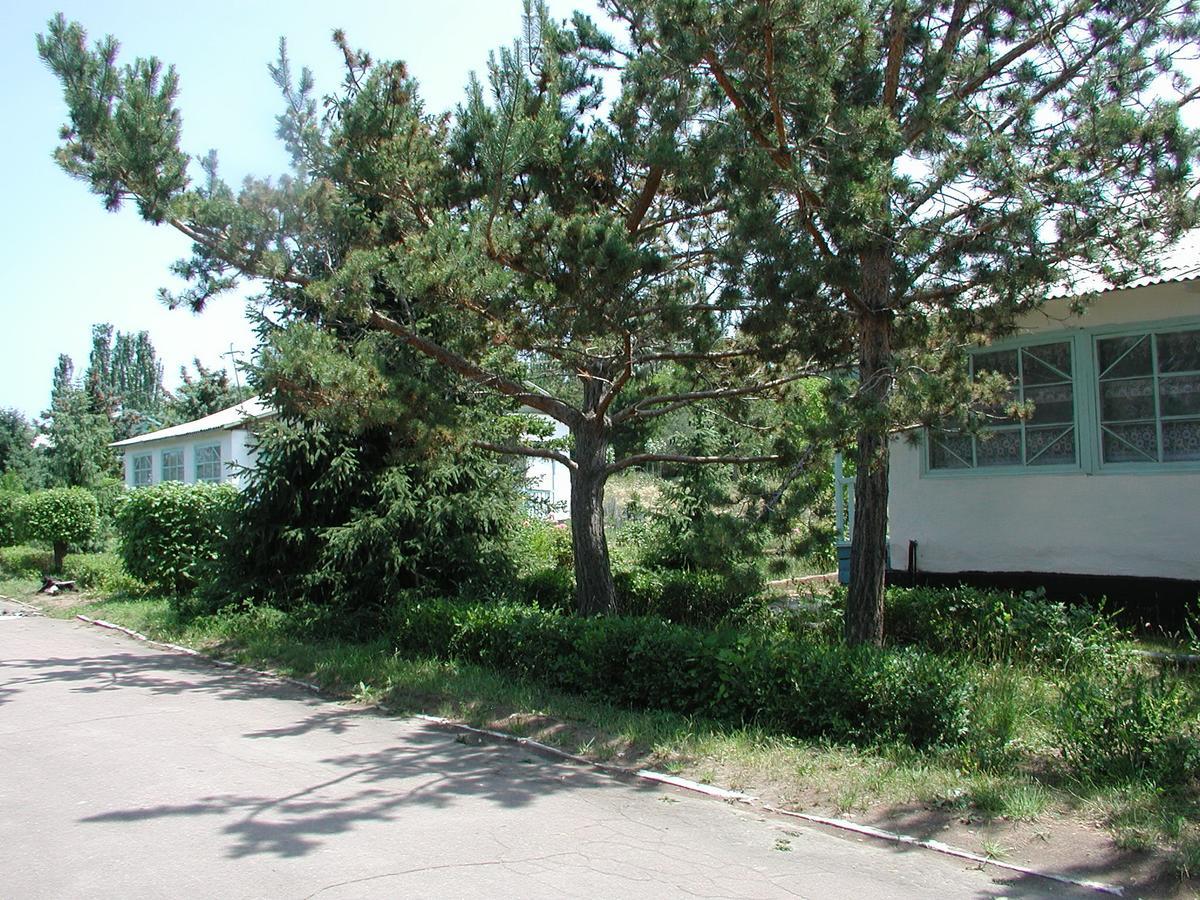 Legenda Health Resort Kaji-Say Zewnętrze zdjęcie